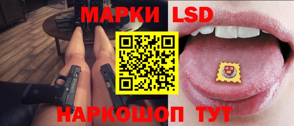 Галлюциногенные грибы Муравленко