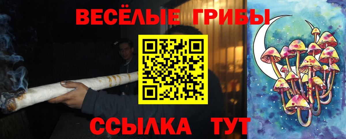 Псилоцибиновые грибы прущие грибы Муравленко